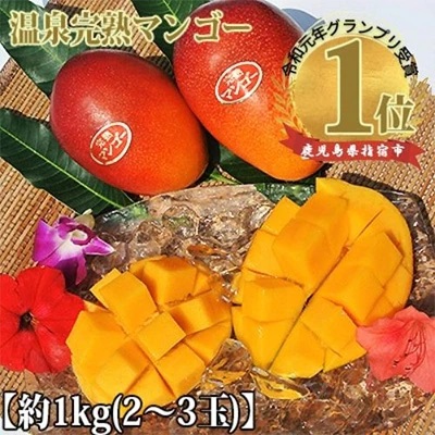 【2023年 発送】鹿児島県産 温泉完熟マンゴー約1kg(2～3玉)(C-058)