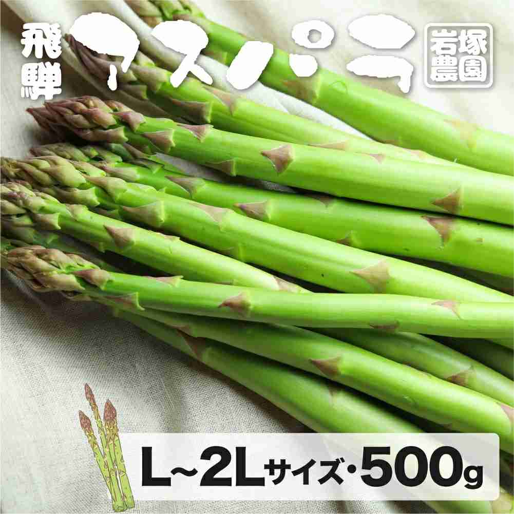 飛騨産アスパラガス L～2Lサイズ 500g