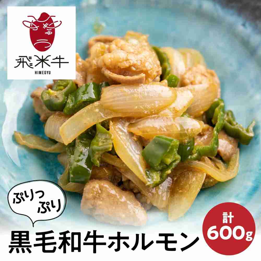 飛米牛 味付けホルモン 計600g 200g×3パック 個包装