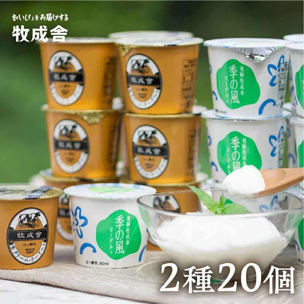 飛騨の牛乳屋こだわり ヨーグルト ２種類 食べ比べ 盛沢山 20個 セット