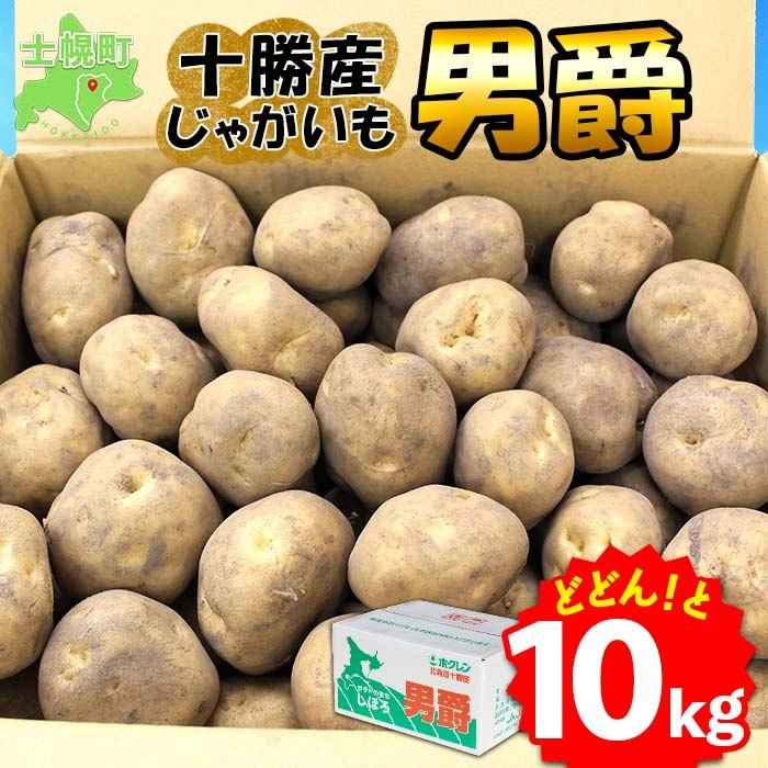 北海道 じゃがいも 男爵 10kg